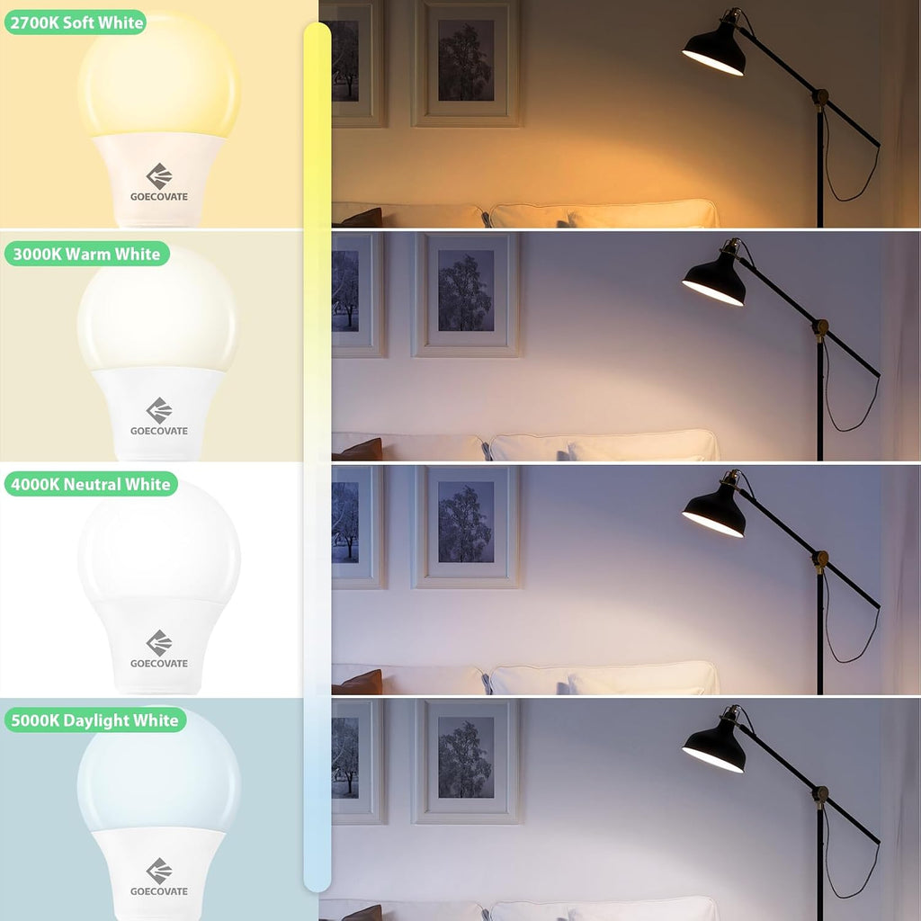24 Pack A19 Light Bulbs Daylight 5000K 60 Watt Equivalent LED Light Bulb