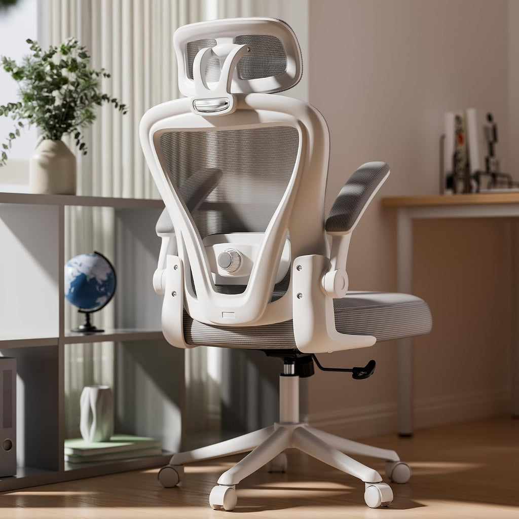 Ergonomic M903, Computer Desk Chair | High Back Mesh with Adjustable Lumbar Support, Headrest, Flip-Up Armrests