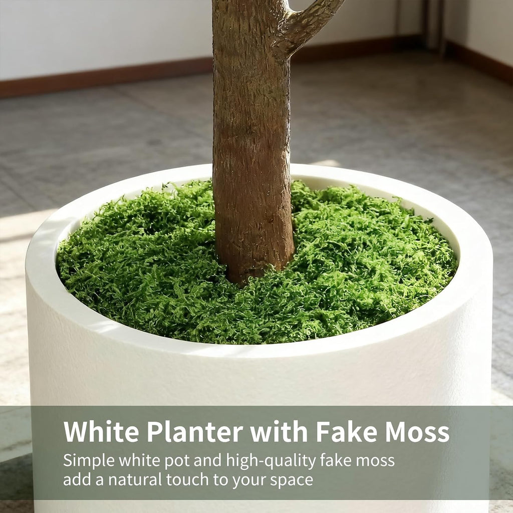 7FT Artificial Fiddle Leaf Fig Tree with White Planter & Fake Moss, Realistic Faux Ficus Lyrata Floor Plant Home