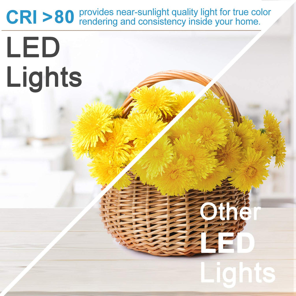 2 Inch LED Recessed Lighting, Dimmable LED Downlight 3W (35W Halogen Equivalent), CRI80+, 5000K Daylight White