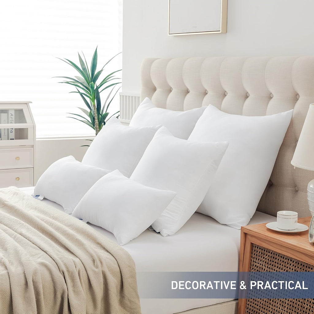 20x20 Throw Pillow Inserts, Pillow Forms for Couch - Set of 2