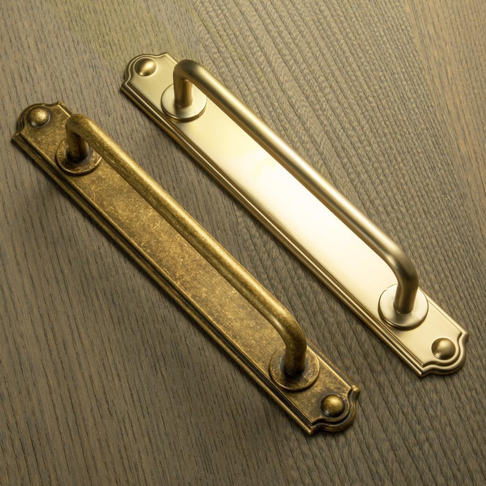 2 Pack Antique Brass Cabinet Pulls Zinc Alloy Drawer Pulls with Backplate