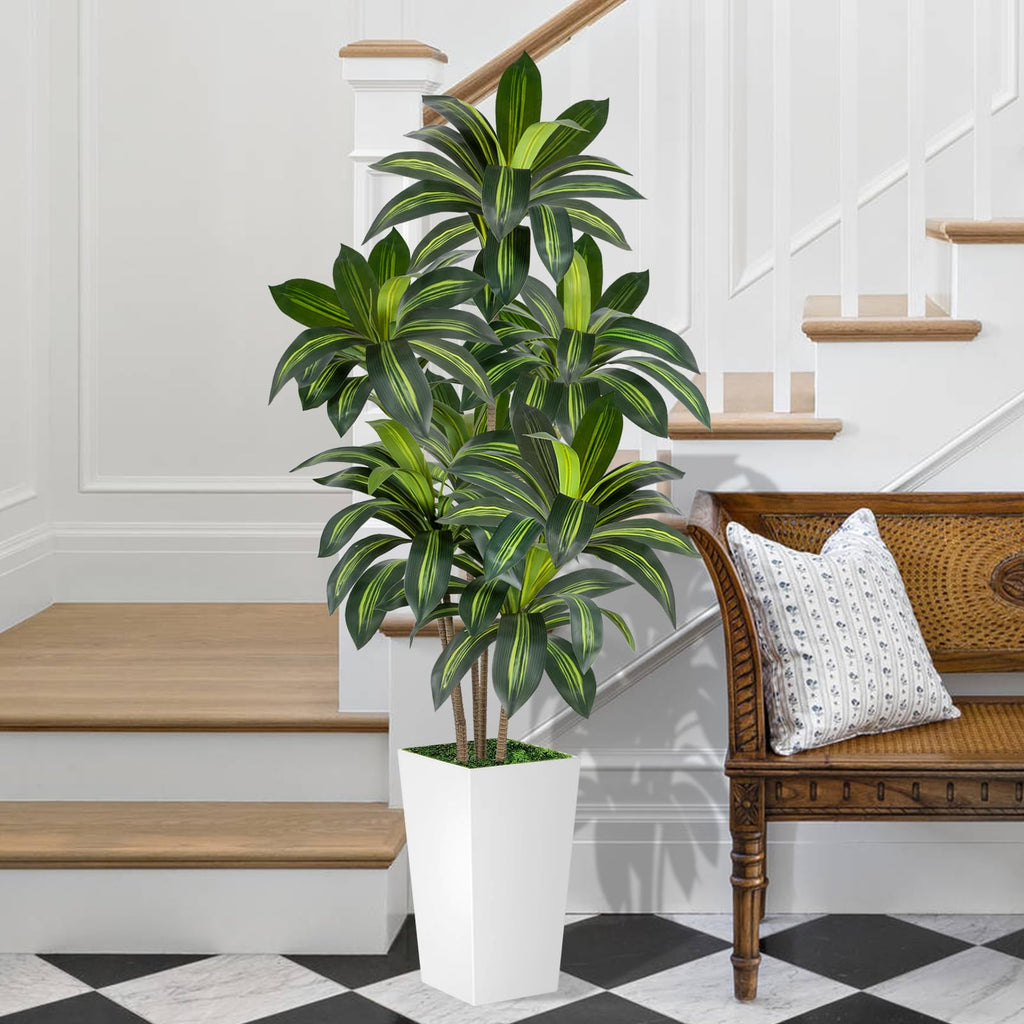 Dracaena Tree 6FT Artificial, 72in Tall Faux Dracaena Tree with 15.7 White Planter, Fake Potted Tree for Indoor &