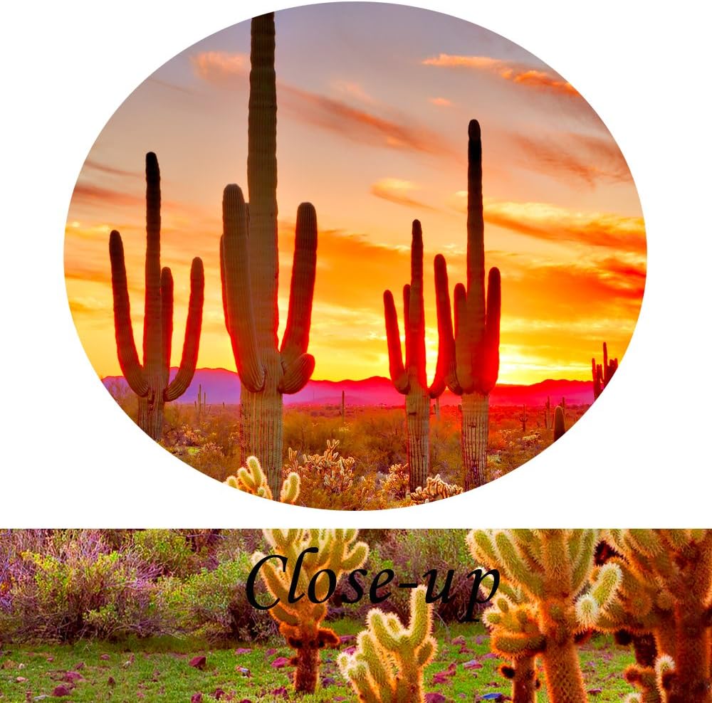 Natural Landscape Paintings Wall Art Sunset with Saguaros in Sonoran Desert 5 Pieces Picture Print on Canvas for