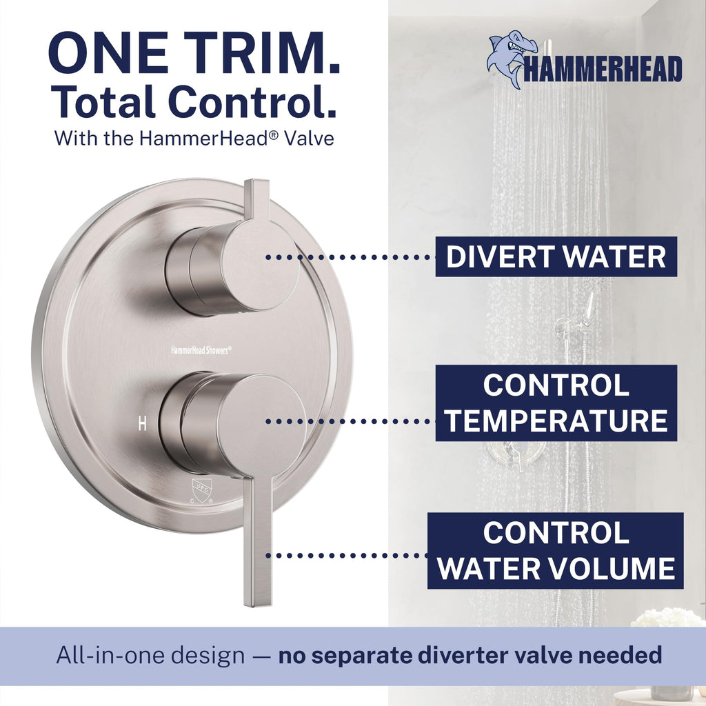 Metal Rain Shower System with Handheld, Valve and Trim Kit