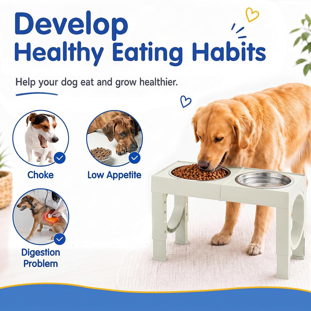 Elevated Dog Bowls Large Breed Raised Dogs Bowl Stand Large/Medium Sized Dog Stainless Steel Food Water Bowl Stands 5