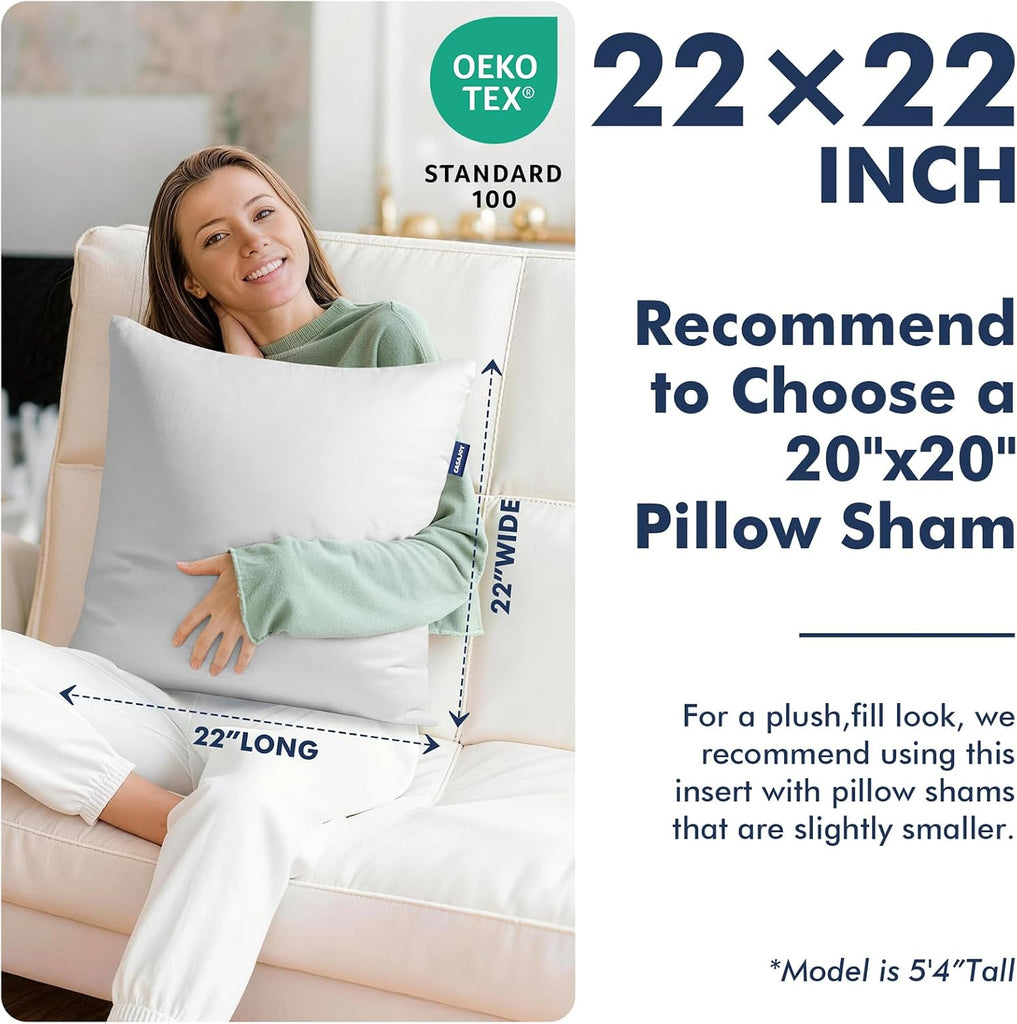 22x22 Pillow Inserts Down Feather Throw Pillows for Couch - Set of 2