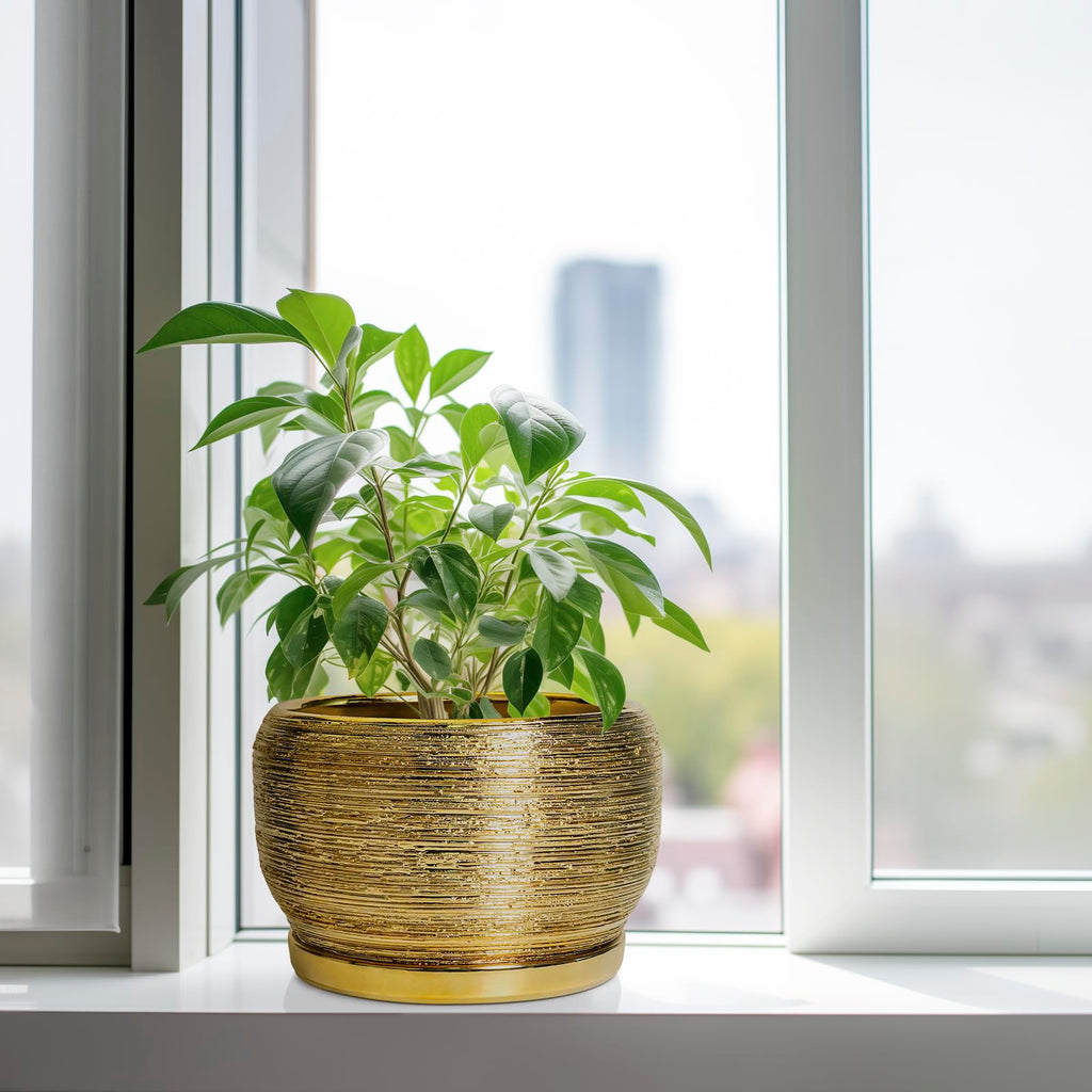 Ceramic Planter for Indoor Plants - 10 Inch Plant Pot with Drainage Hole and Saucer, Modern Round Planter Outdoor