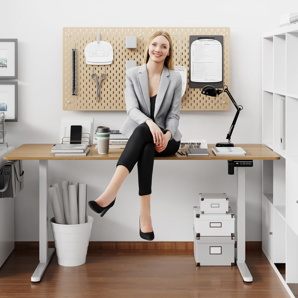 Standing Desk, 63x24 Inch Height Adjustable Electric Sit Stand up Desk, Ergonomic Rising Computer Table, Modern Lift