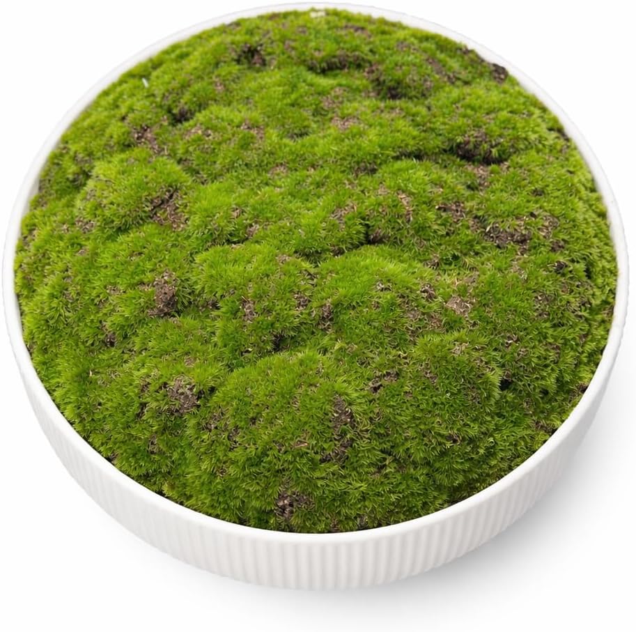 Fluted Pedestal Ceramic Moss Bowl | 11.75 Inch | Artificial Moss Centerpiece | Decorative Table Bowl