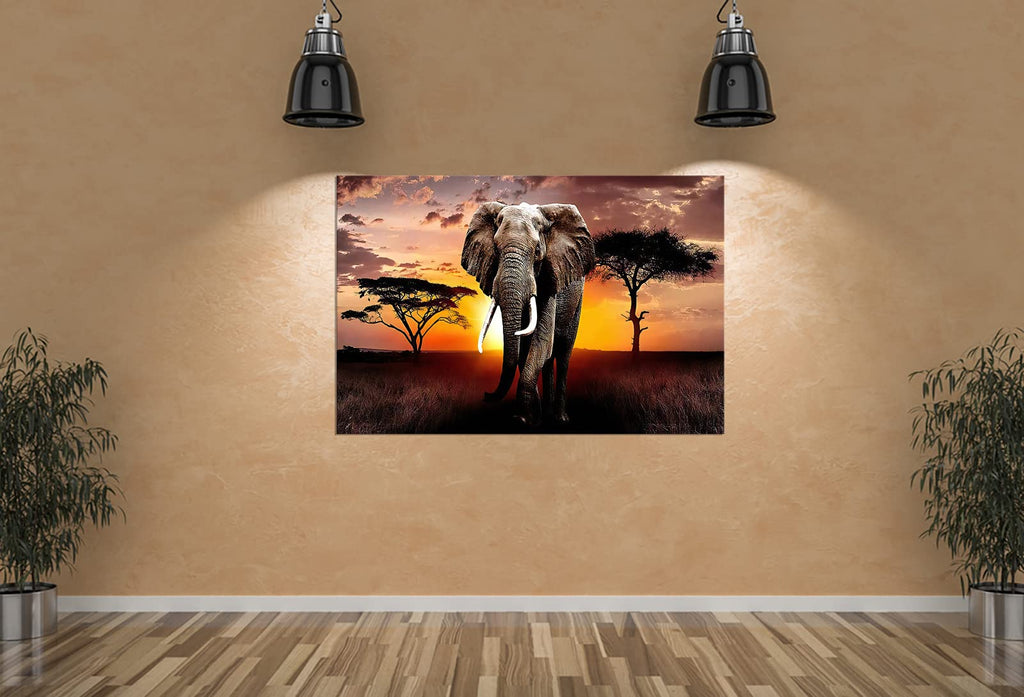Canvas Wall Art Elephant Picture African Wild Animals Artwork Painting Print Bedroom Kitchen Home and Office