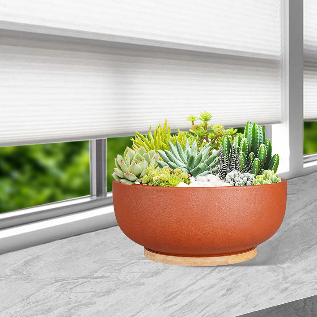 10 Inch Large Terracotta Planter Pot, Clay Succulent Bonsai Planter with Drainage Hole and Bamboo Saucer for Indoor