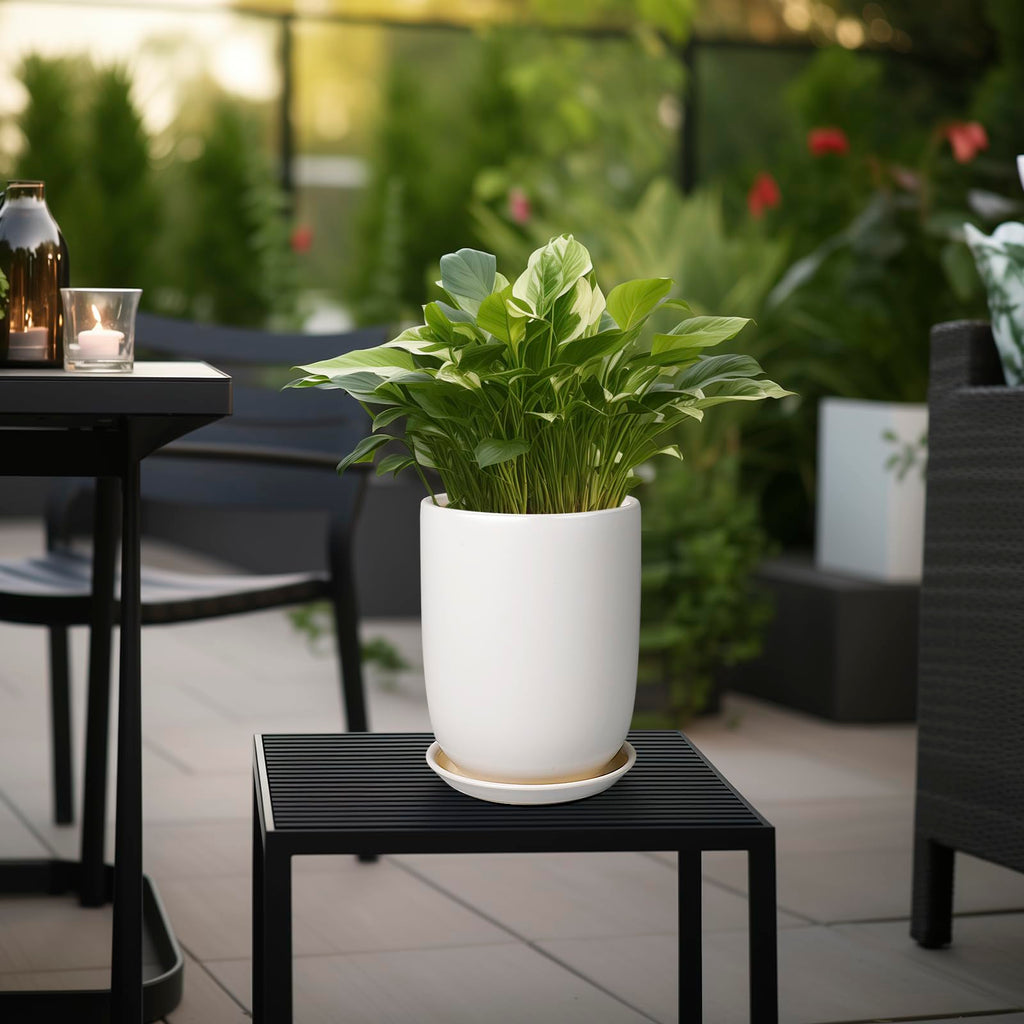 Plant Pot 8 Inch - Ceramic Planter for Indoor Plants Outdoor, Large Plant Pot with Drainage Hole and Saucer, Modern