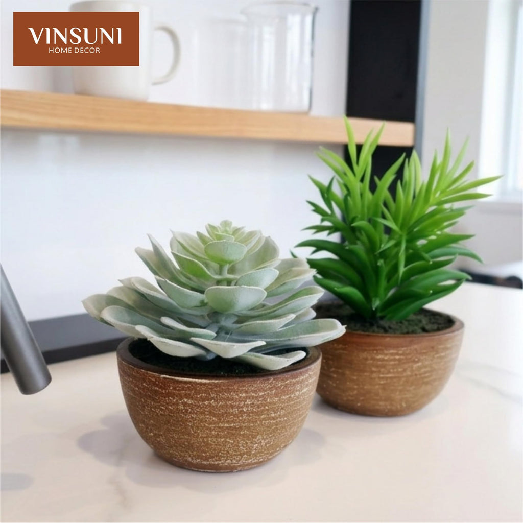 Artificial Succulents Plastic Artificial Green Plant, Fake Succulents Decoration (Set of 2 Succlents in Pots)