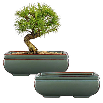 Set of 2 Large Bonsai Pots with with Drainage Hole, 8.7" Green Glazed