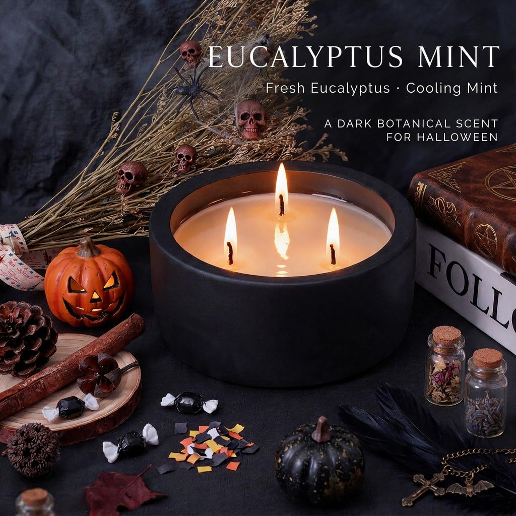 20oz Large Odor Eliminating Candle - Eucalyptus Mint, 3 Wick Fall Scented Soy Candle, Non Toxic, Matte Black Ceramic