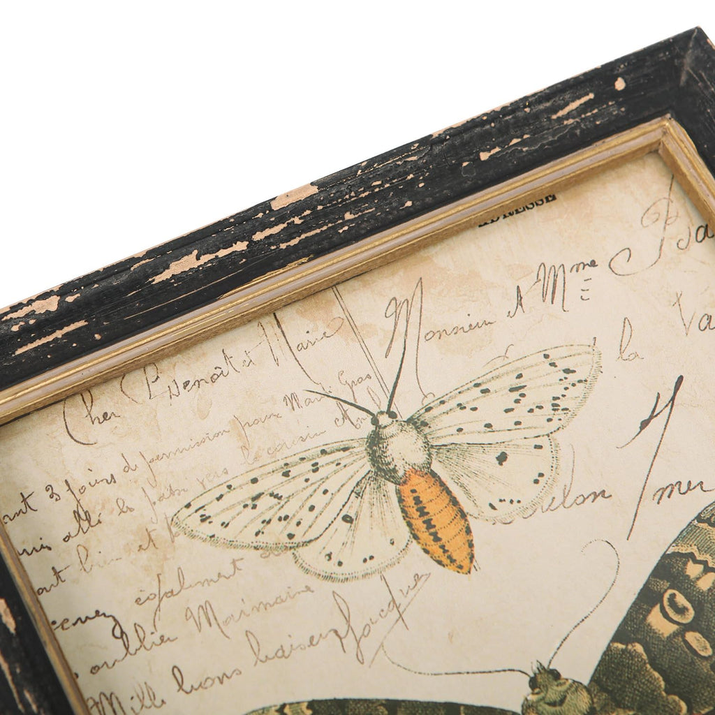 Set of 3 Vintage Butterfly Wall Art Poster Print Rustic Botanical Picture Decor Floral Plant Wooden Framed Plaque