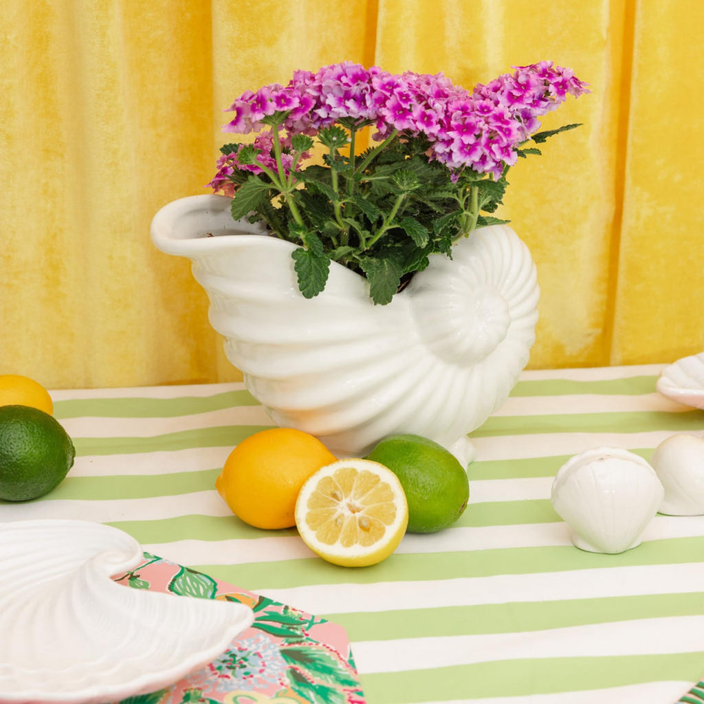 Ceramic Nautilus Shell Shaped Planter, White