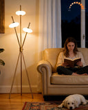 Tripod Floor Lamp Stepless Dimmable Gold Standing Tall Lamps with 3PCS Elliptical Lampshades Mid Cen