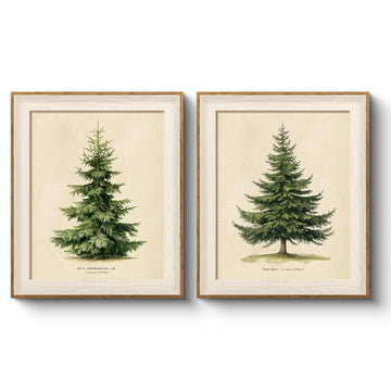 Framed Minimalist Rustic Christmas Tree Wall Art Set, 10x12 Inch