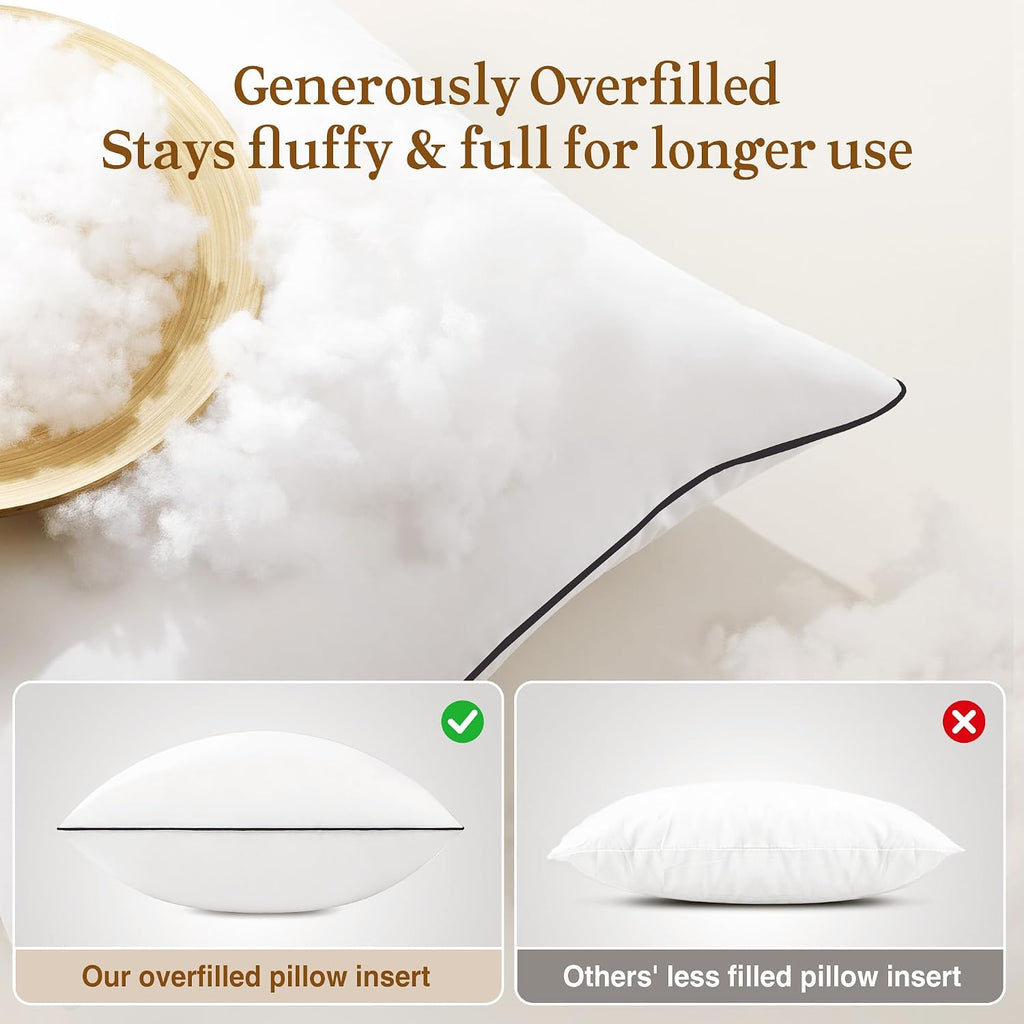 12x20 Pillow Inserts, Fluffy Overfilled Down Alternative Lumbar Pillows, Soft Plush Decorative Throw Pillows - Set of 2