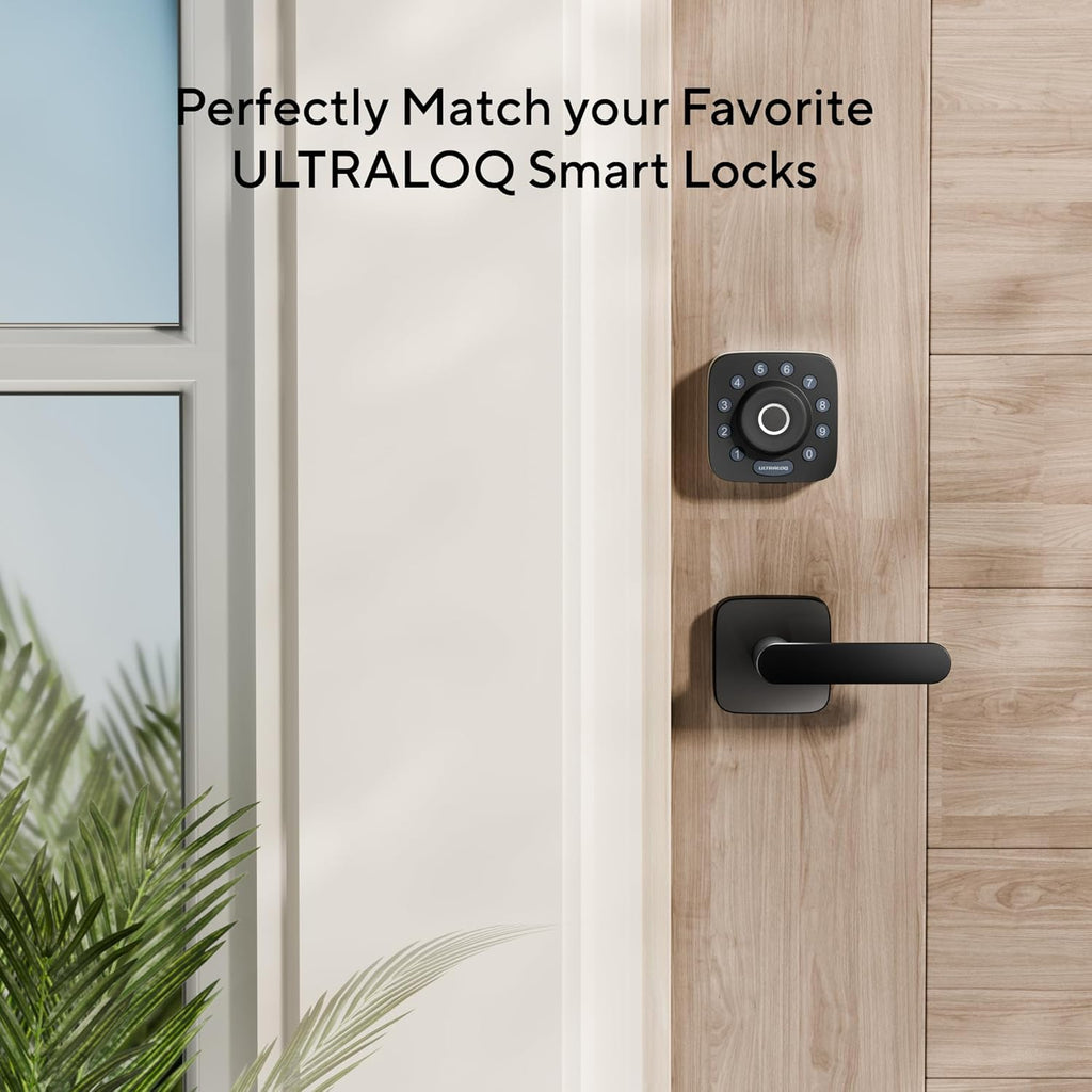 Passage Lever Door Handle, Reversible Black Front Door Handle No Lock or Exterior Door, Closet, Hallway - Door Lever