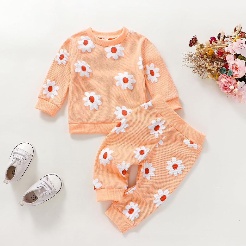 Newborn Baby Girls Flower Long Sleeve Tops Crewneck Sweatshirt and Long Pants Set 2Pcs Fall Outfits