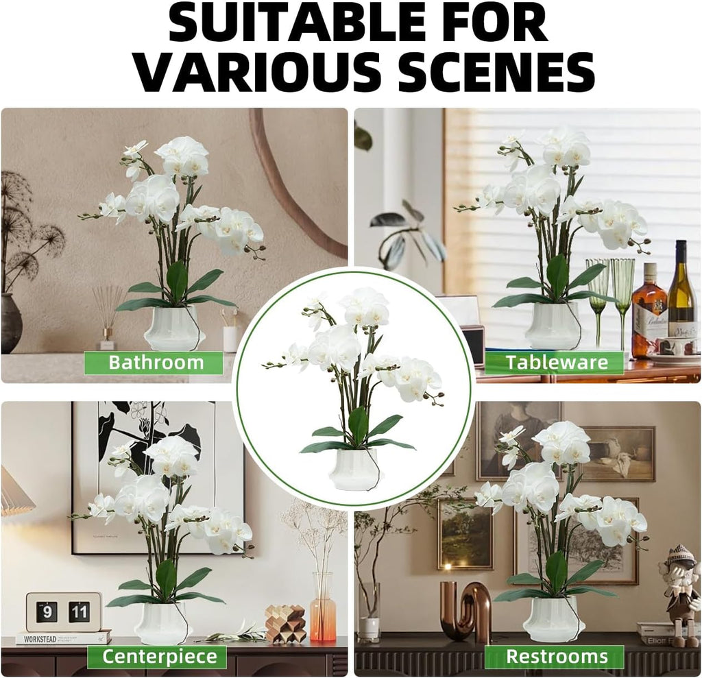 Artificial Orchid Flower Plant 20.9'' Real Touch Faux Orchids in Ceramic Vase White Fake Phalaenopsis Flower