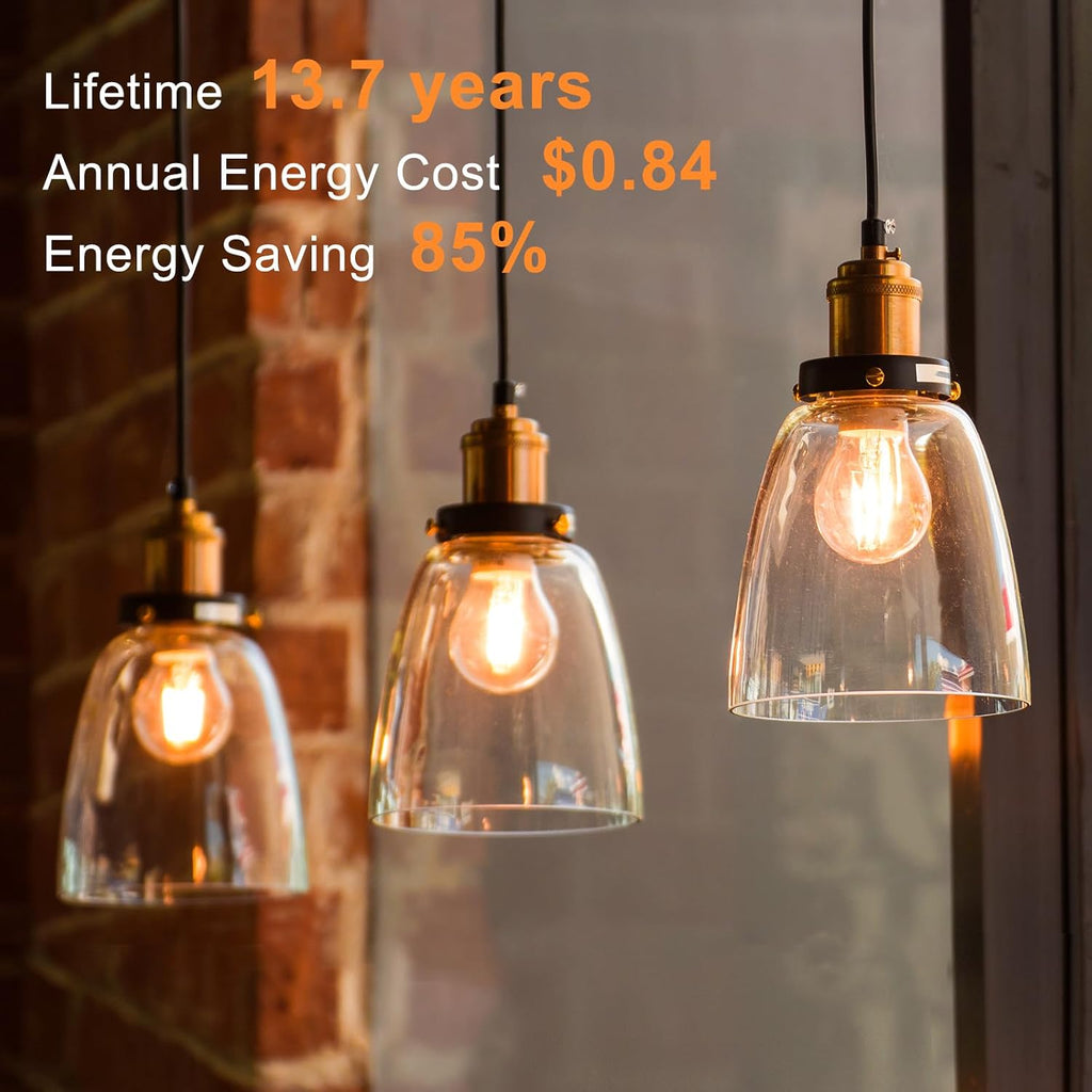 A19 LED Edison Light Bulb, E26 Dimmable Bulb, 60W Equivalent