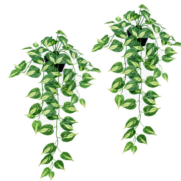 Artificial Pothos Hanging Plants - 2 Pack Silk Ivy Vines with Black Pots, Realistic Fake Greenery for Indoor Home