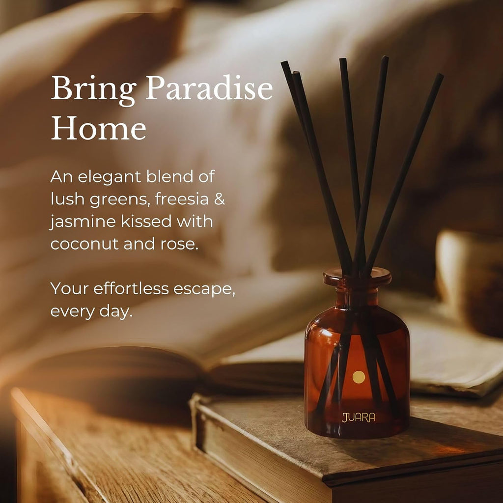 Candlenut Reed Diffuser Set 90ml - Indonesian Home Fragrance with Natural Reed Sticks - Long-Lasting Room Scent, 3 oz - Set of 3