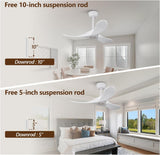 36 Inch Solid Wood Ceiling Fan with Remote,White Ceiling Fan no Light,6 Speeds,Noiseless,Reversible DC Motor,Modern Ceiling Fans without Lights for Outdoor Indoor Bedroom Farmhouse,Patios A101-B0DFTDTVZZ