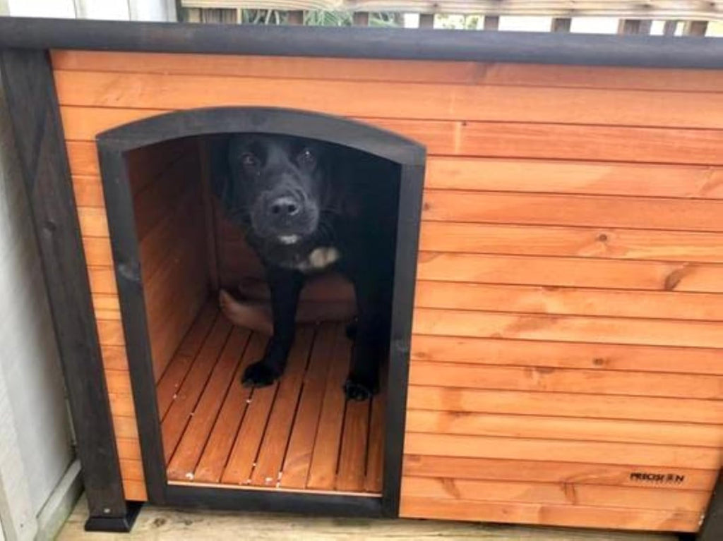 Log Cabin Dog House, Large, Natural Wood