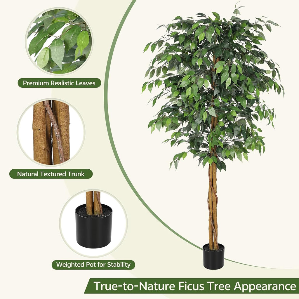 6ft Artificial Ficus Tree with Triple Trunk & Black Planter