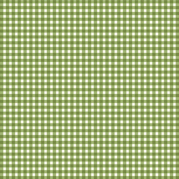 Spring Green, White, Gingham, Check, Accent Fabric, Beautiful Basics, Maywood Studios - by The Yard