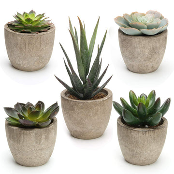 Artificial Succulent Plants Potted, Artificial Plants Indoor, 5 PCS