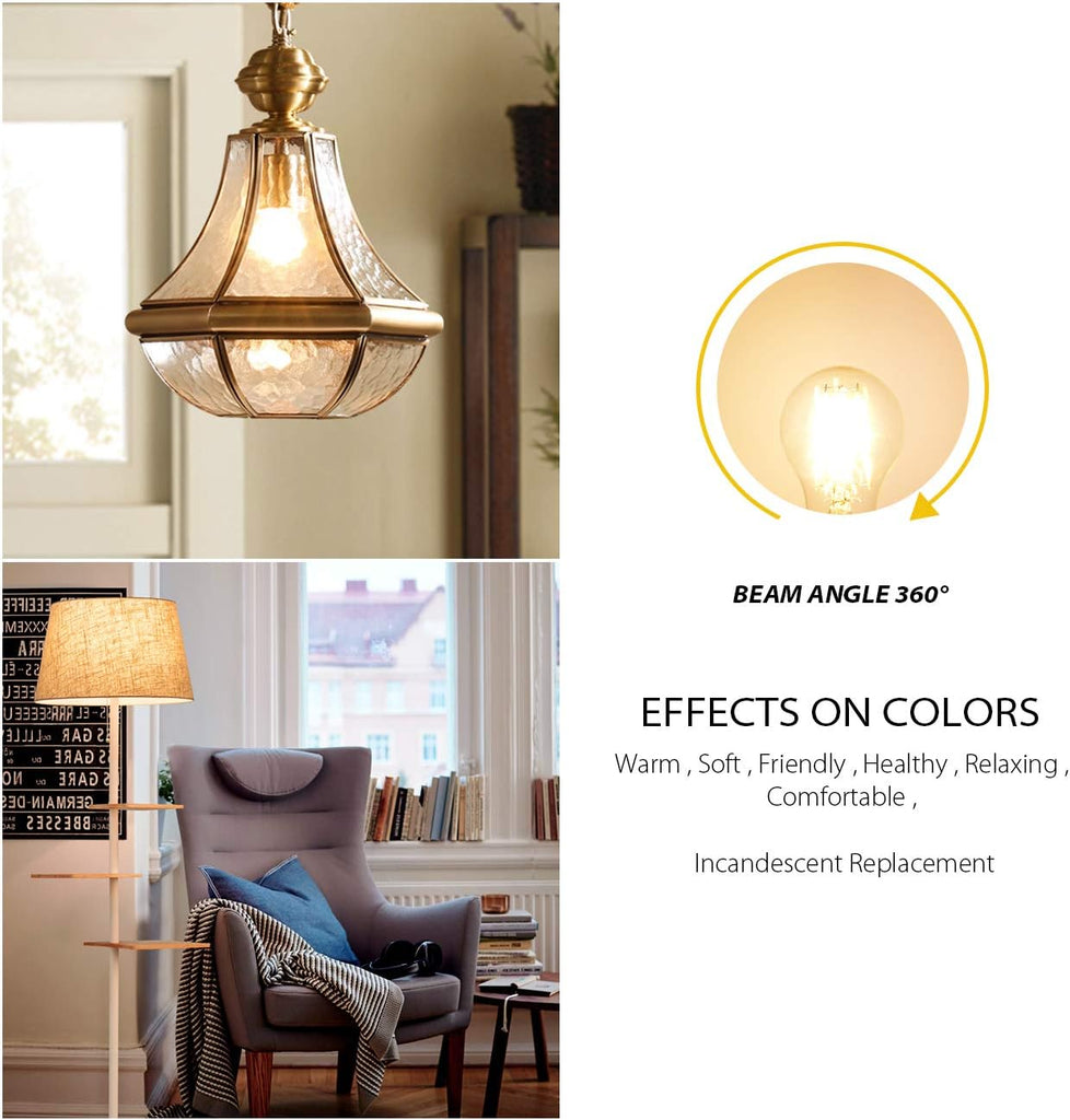 A19 Vintage Edison LED Filament Bulb E26 Base, 4W (40W Equivalent), Warm White 2700K, 500 Lumens, Non-Dimmable, 3