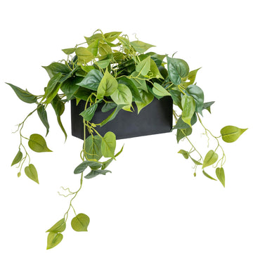 Vibrant Lifelike Artificial Plant Pothos Leafy Vine Greenery in Black Concrete Rectangular Planter Box