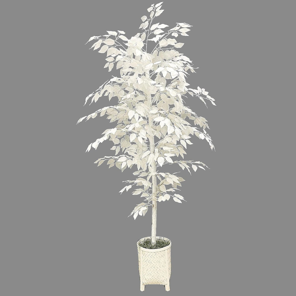 6ft White Faux Ficus Tree - Real Wood Trunk, No Maintenance Indoor Artificial Plant in White Rattan Basket - Living