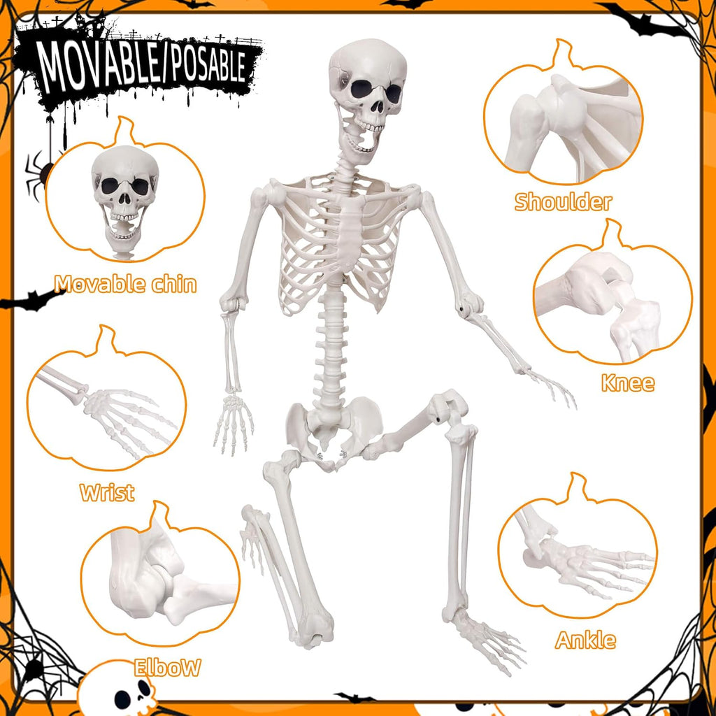 5.9Ft/180cm Life Size Giant Skeleton Poseable Plastic Skeleton for Halloween Decor