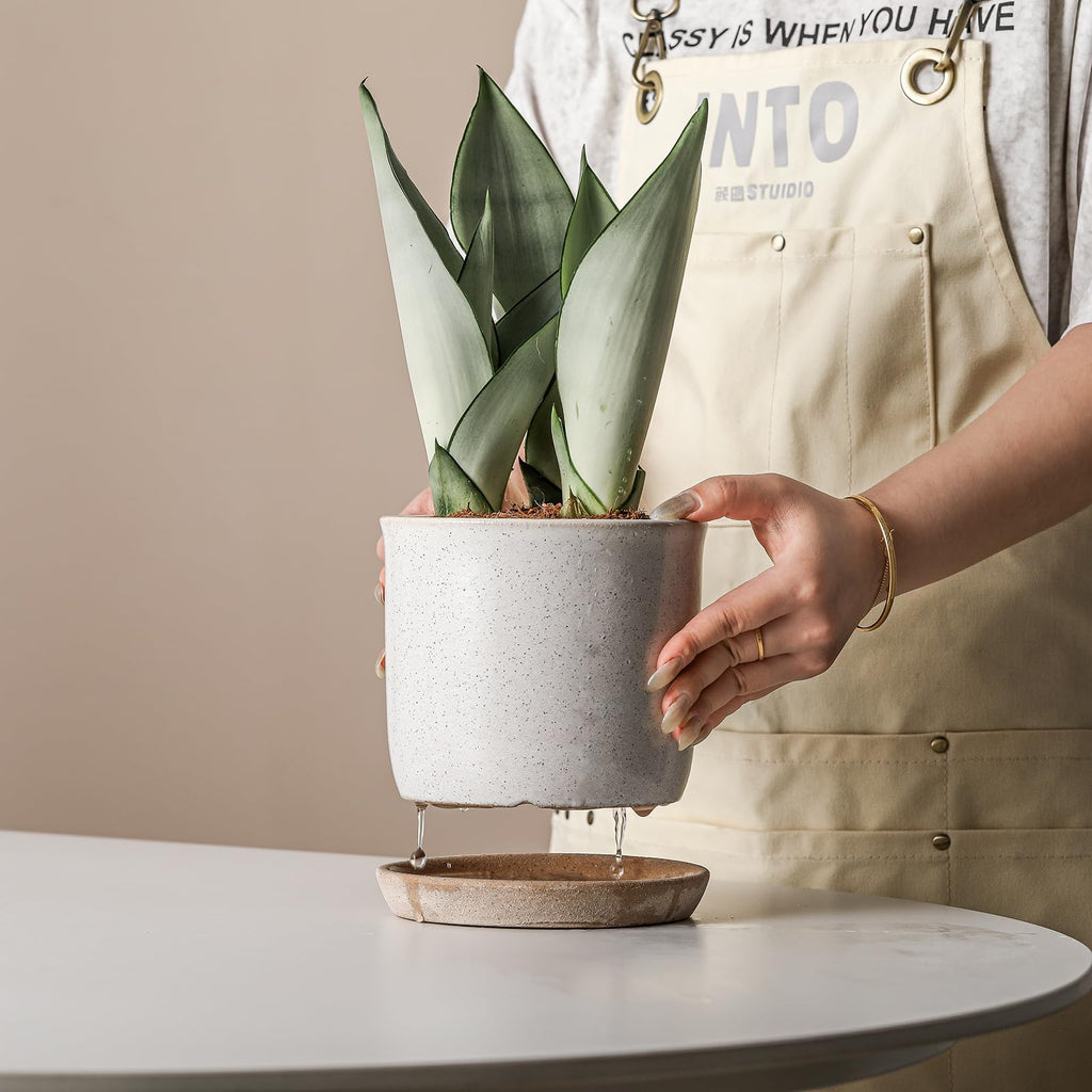 5.8 Inch Plant Pot: Ceramic Planter with Drainage Hole & Saucer - Cylinder Round Flowerpot for Indoor & Outdoor