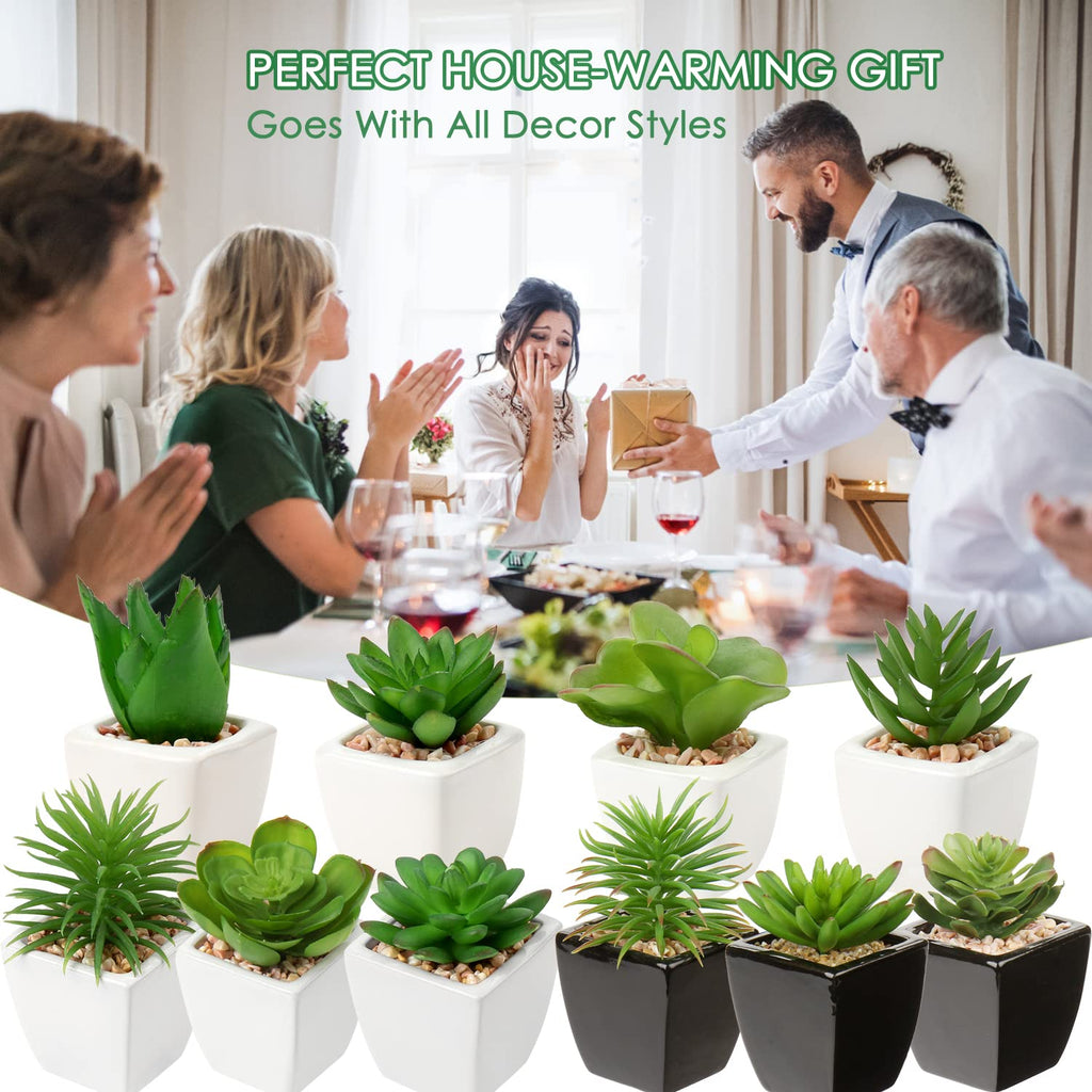 Small Succulents Artificial 3 Pcs Faux Succulents in Pots Fake Succulent Plants with Black Ceramic Pots for Modern