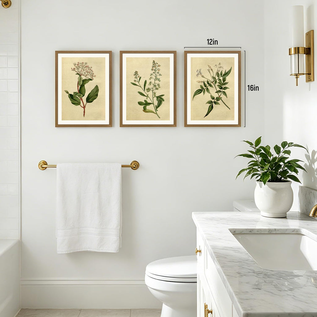 Wood Framed Vintage Botanical Wall Art Set of 3, Classic Herbarium Plant Prints, Green Botanical Illustration Wall
