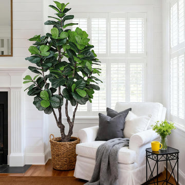 7FT Artificial Fiddle Leaf Fig Tree Decor, Faux Plants Indoor
