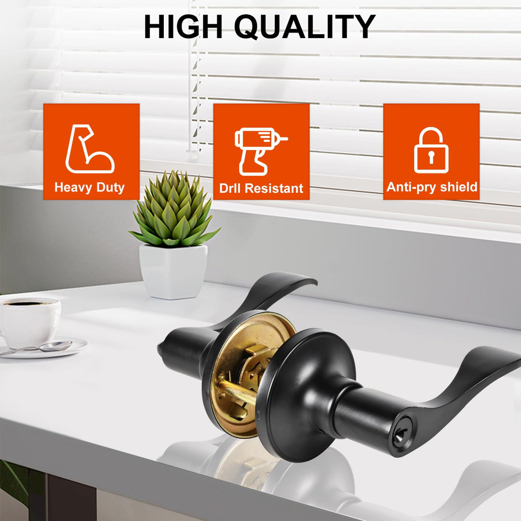 High-Security Stainless Steel Door Lever with Lock and Key(Black)