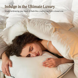 Lightweight Organic Feather Down Comforter Queen