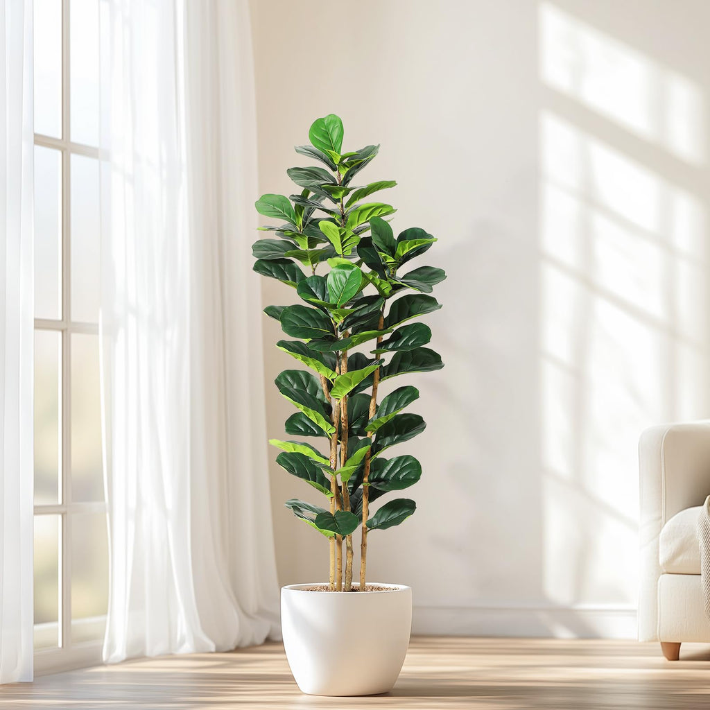 Artificial Fiddle Fig Tree with White Planter - 6 ft