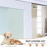 60x80 in (Double 31in) Bypass Sliding Closet Door for Bedroom, 3-Lite Frosted Glass Sliding Door wit