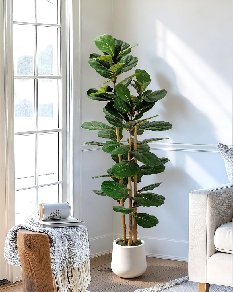 Artificial Fiddle Leaf Fig Tree in Modern White Planter, 5ft