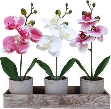 Small Artificial Orchid Potted Plants Arrangement with Rustic Wood Planter Box Real Touch Faux Phalaenopsis - Set of 3